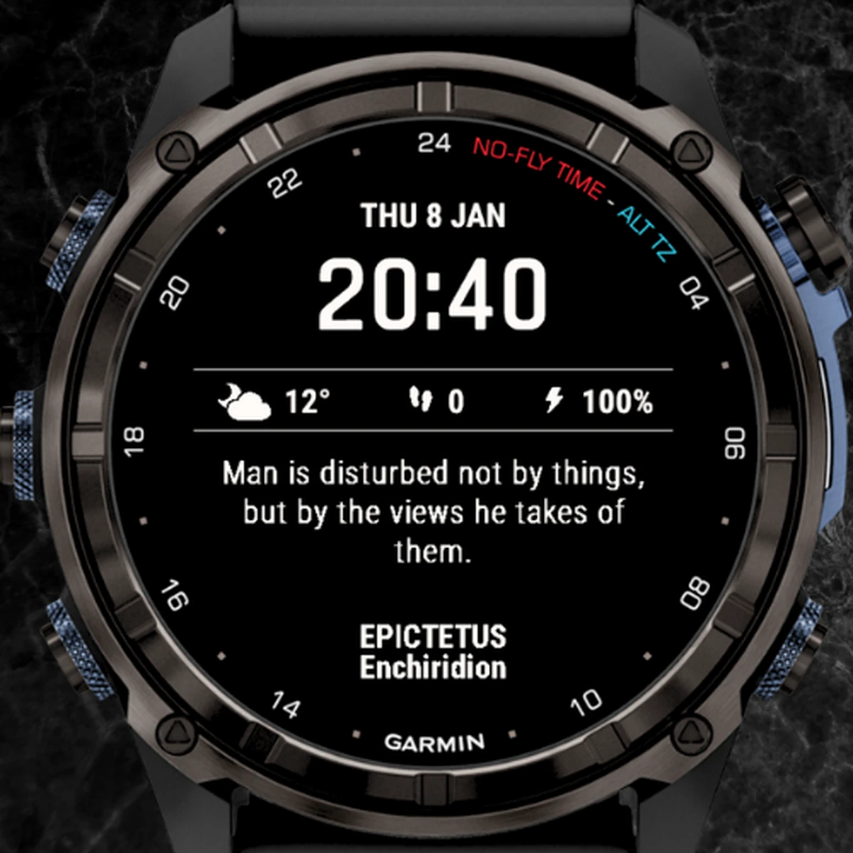 Stoic 100 Garmin watch face